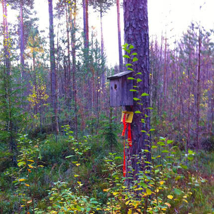 IPHONE-Esbjoern-20120204-035.jpg